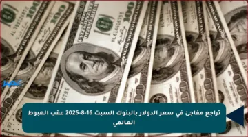 تراجع مفاجئ في سعر الدولار بالبنوك السبت 16-8-2025 عقب الهبوط العالمي